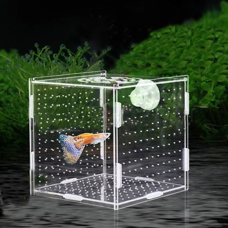 Amazon.com : PINVNBY Acrylic Fish Breeding Box，Guppy breeding Box